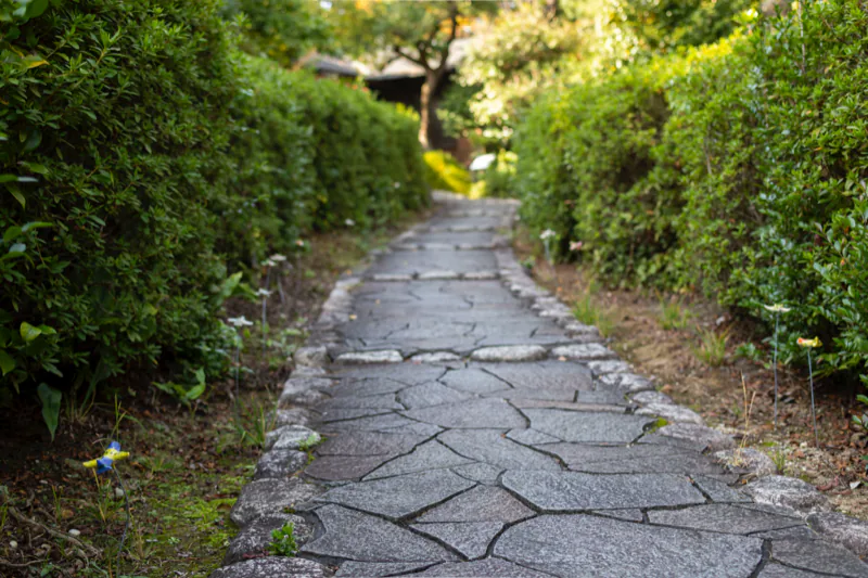 生け垣に挟まれた園路